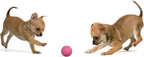 Snug Rubber Dog Balls for Small and Medium Dogs - Image 6