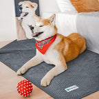 PetAmi Waterproof Dog Blanket, Leakproof Puppy Blanket - Image 5