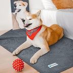 PetAmi Waterproof Dog Blanket, Leakproof Puppy Blanket - Image 5