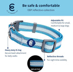 Blueberry Pet Essentials Matching Small Dog Collar | Adjustable Classic Solid - Image 2