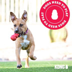 KONG Puppy - Natural Teething Rubber Chew Toy - Image 9