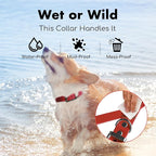 4.2FT Dog Collar and Leash Set, PVC Waterproof Adjustable Odor Proof Pet - Image 5