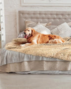 PJYuCien Dog Blankets for Medium Large Dogs Washable - Image 7