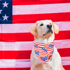 PTDECOR American Flag Dog Bandana 4th of July Dog Scarf Reversible Red Blue - Image 2