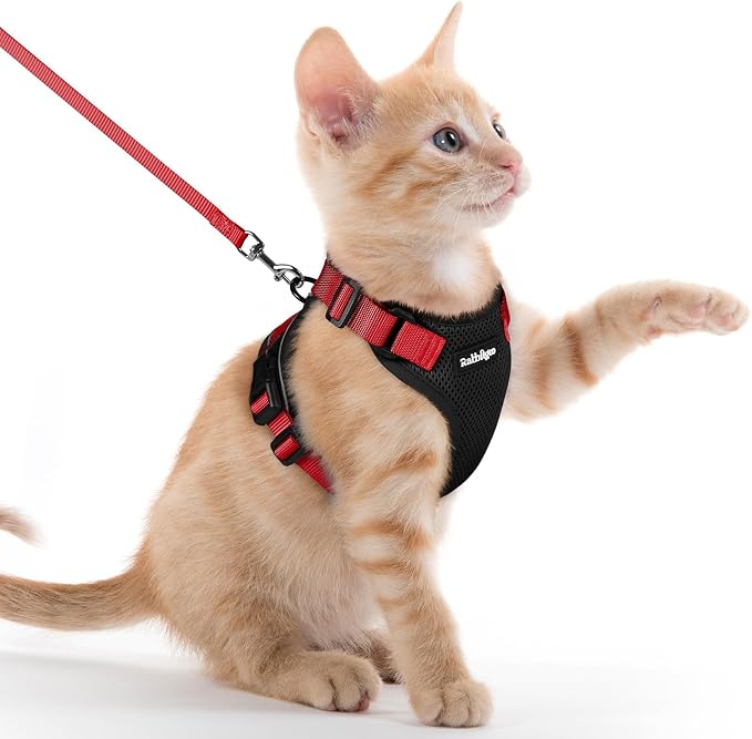rabbitgoo Cat Harness and Leash by rabbitgoo