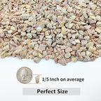 10LB Succulent and Cactus Gravel Pebbles, 1/5 Inch Natural Decorative Polished - Image 2