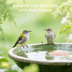 2 Pack Bird Bath Copper Disk, Premium 0.6mm Sturdy 99.99% Pure Copper Disk - Image 6