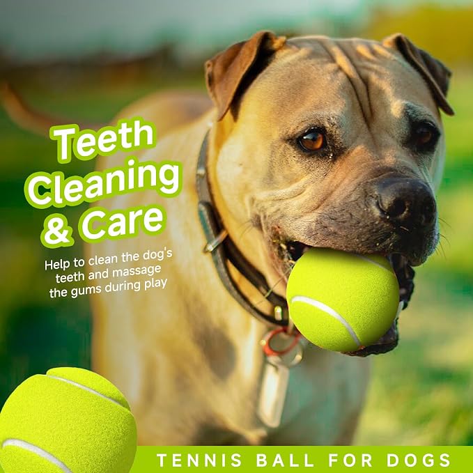 HETOO Tennis Balls for Dogs: 6 Pack 2.5 Inch Dog Balls- Dog Tennis Ball- - Image 3