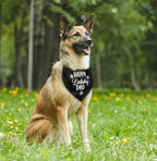 K31 Happy Birthday Dad Dog Bandana - Image 4