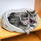 Pet Craft Supply Cat Bed for Indoor Cats - Image 7
