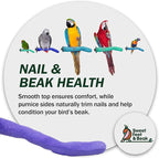 Sweet Feet and Beak Safety Pumice Perch - Image 8