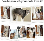 AGYM Cat Scratching Post, 32 Inch Cat Scratching Posts - Image 6
