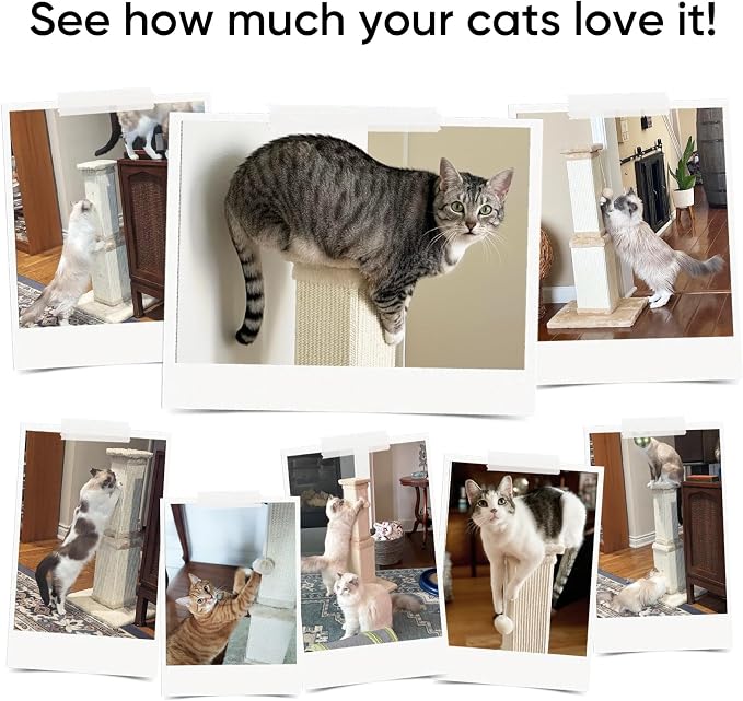 AGYM 32 Inch Cat Scratching Post - Image 6