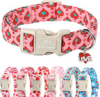 Valentines Dog Collar for Small Dogs by Babolepet