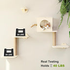 FUKUMARU Cat Wall Shelves, 5-Piece Stable Wooden Wall-Mounted Furniture Set - Image 6