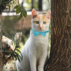 Sliverdew 2 Pcs Velvet Cat Bow Tie Collar Breakaway Cat Collar - Image 6