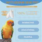 Jmxu's 3.5"-4" Cuttlebone for Birds Parakeets, Cuddle Bone - Image 3