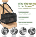Petsfit 19x12x12 Pet Carrier for Large Cats, Soft-Sided Small Dog Travel Carrier - Image 2