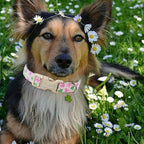 St Patricks Day Dog Collar for Medium Dogs - Image 2