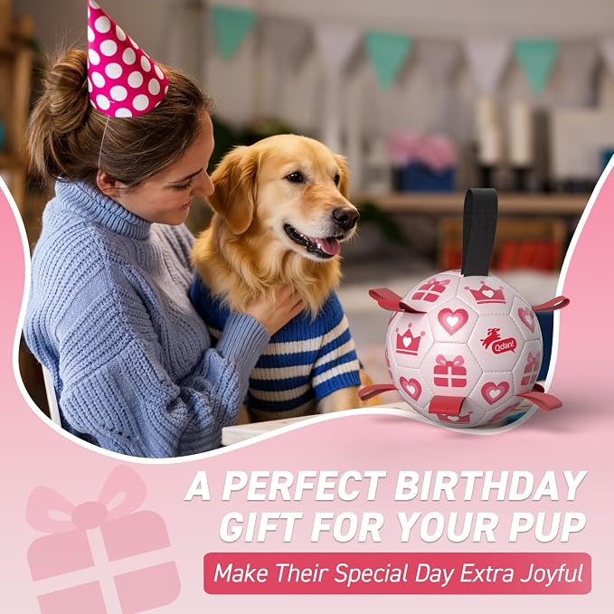 QDAN Valentines Gift Dog Toys, Interactive Tug of War Toy, Puppy Birthday Gifts - Image 2