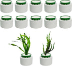 12 Pack New Upgrade Aquarium Plant Weights, Aquatic Plants Fixed Ring Set by QoTang
