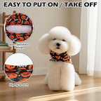 EXPAWLORER Cat Halloween Sweater - Image 4