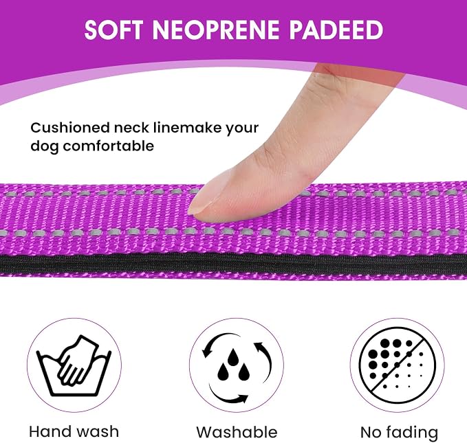 Reflective Dog Collar Padded - Image 3