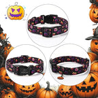 Halloween Dog Collar Spooky Fun Pumpkin Puppy Collar - Image 6