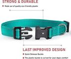 Reflective Dog Collar with Buckle Adjustable Safety Nylon Collars - Image 2