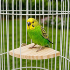 2PCS Bird Perch Platform Flat, Fan Shape and Rectangle Bird Cage Platform - Image 7