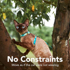 Cat Harness and Leash Set - Image 5