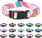 Mercano Adjustable Dog Collar by Unknown
