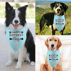 Dog Birthday Bandana Boy Happy Birthday Gifts - Image 4