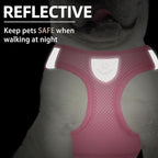 PUPTECK Adjustable Dog Harness Collar and Leash Set Step in No Pull Pet Harness - Image 5