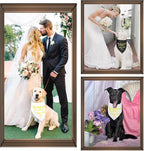SZEE Wedding Decorations for Pets, 2 Pack My Humans are Getting Married Dog - Image 6