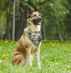 Dog Bandana, My Dad is My Hero, Dogs Scarf Classical Printing, Dogs Scarf - Image 4