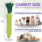 3PCS Green Woven Pet Chew Set, Dog Chew Accessories, Cat Interactive Chews - Image 2