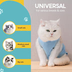 Avont Cat Recovery Suit - Image 5