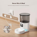 IMIPAW Automatic Cat Feeder and Water Fountain, Timed Dry Food Dispenser - Image 3