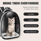 Active Cooling Pet Backpack Carrier - Image 5