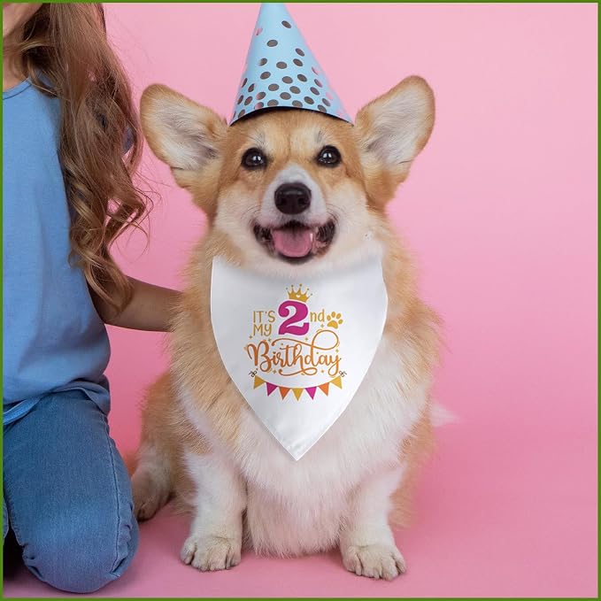 It's My 2nd Birthday Dog Bandana Happy 2nd Birthday Pet Triangle Scarf - Image 6