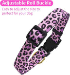 QQPETS Adjustable Soft Dog Collar: Print Flower Pink Multicolor Cute Patterns - Image 4