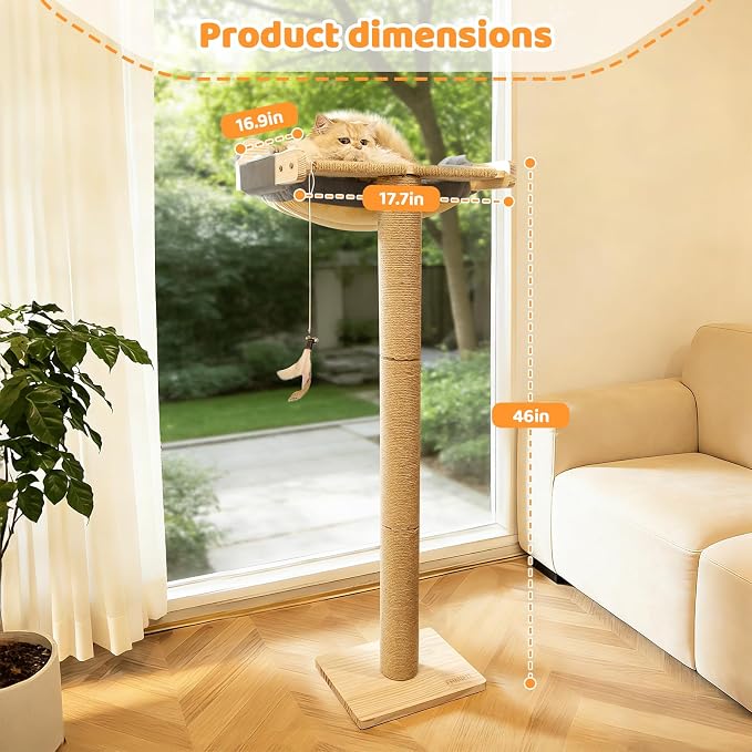 Cat Window Perch with Scratching Post, Bird Watching, Supports 45 lbs - Image 3