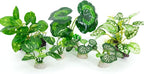 Betta Fish Tank Accessories 7 Pack Silk Aquarium Plants Decoration Artificial - Image 4