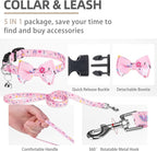 PUPTECK Adjustable Dog Harness Collar and Leash Set, Step in No Pull Pet Harness - Image 3