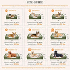 Comfort Expression Orthopedic Dog Bed - Image 3