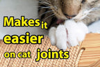 Skywin Cat Steps - Image 5