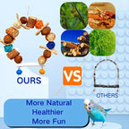 Parakeet Swing Toys, Bird Cage Hanging Chewing Toys, Natural Bird Parrot Toys - Image 3