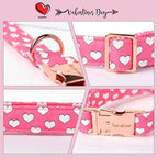 Unique style paws Dog Collar Metal Buckle Collar - Image 3
