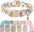 Unique style paws Dog Collar Plastic Buckle by Uniquestylepaws